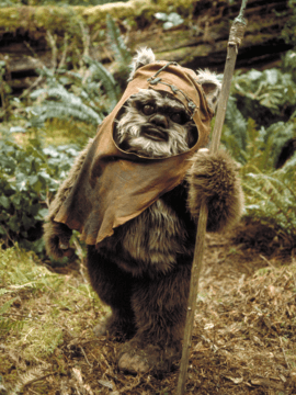 Wicket Systri Warrick